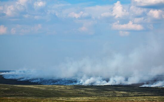 Wild fires in Murmansk Region