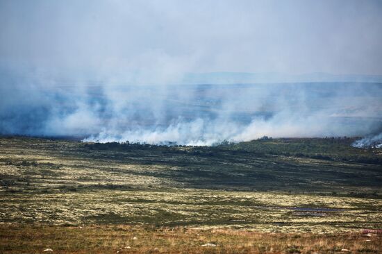 Wild fires in Murmansk Region