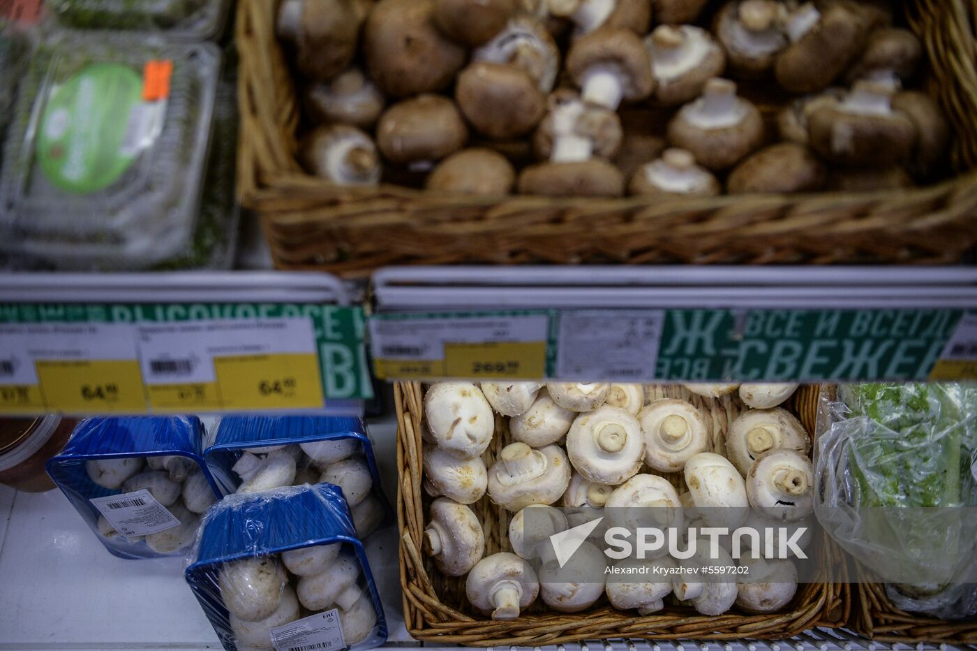 Rosselkhoznadzor bans champignons import from Belarus