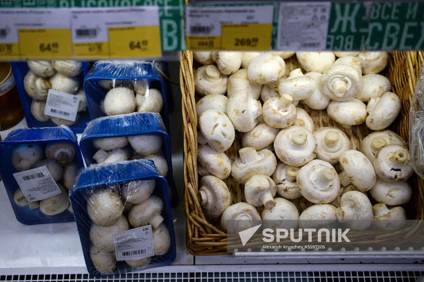 Rosselkhoznadzor bans champignons import from Belarus