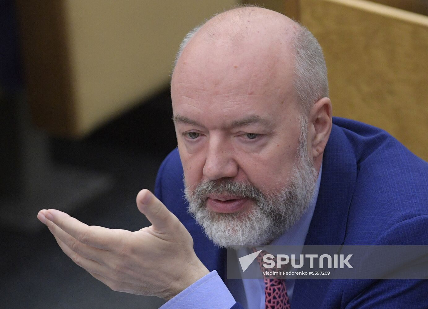 State Duma plenary meeting