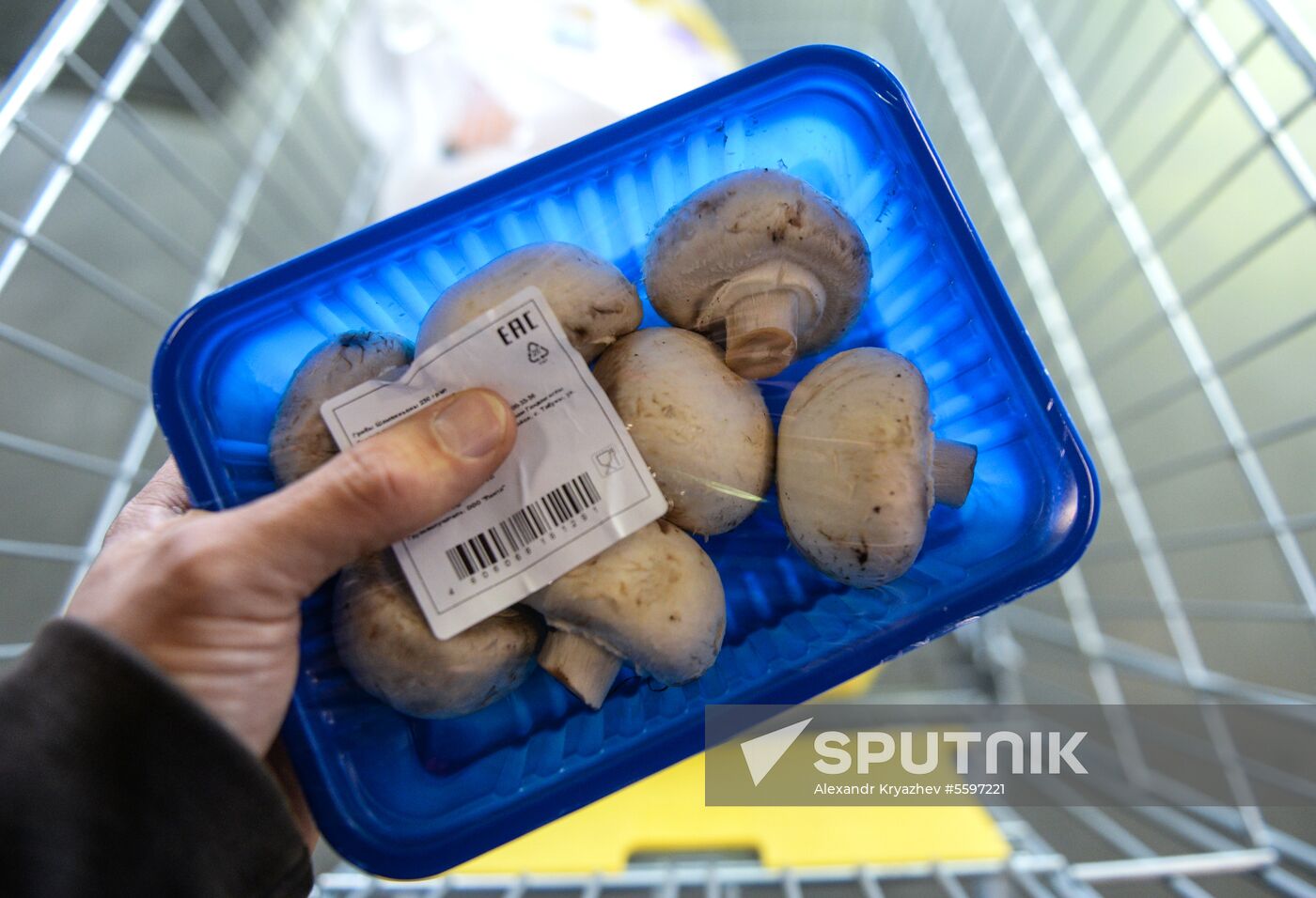 Rosselkhoznadzor bans champignons import from Belarus