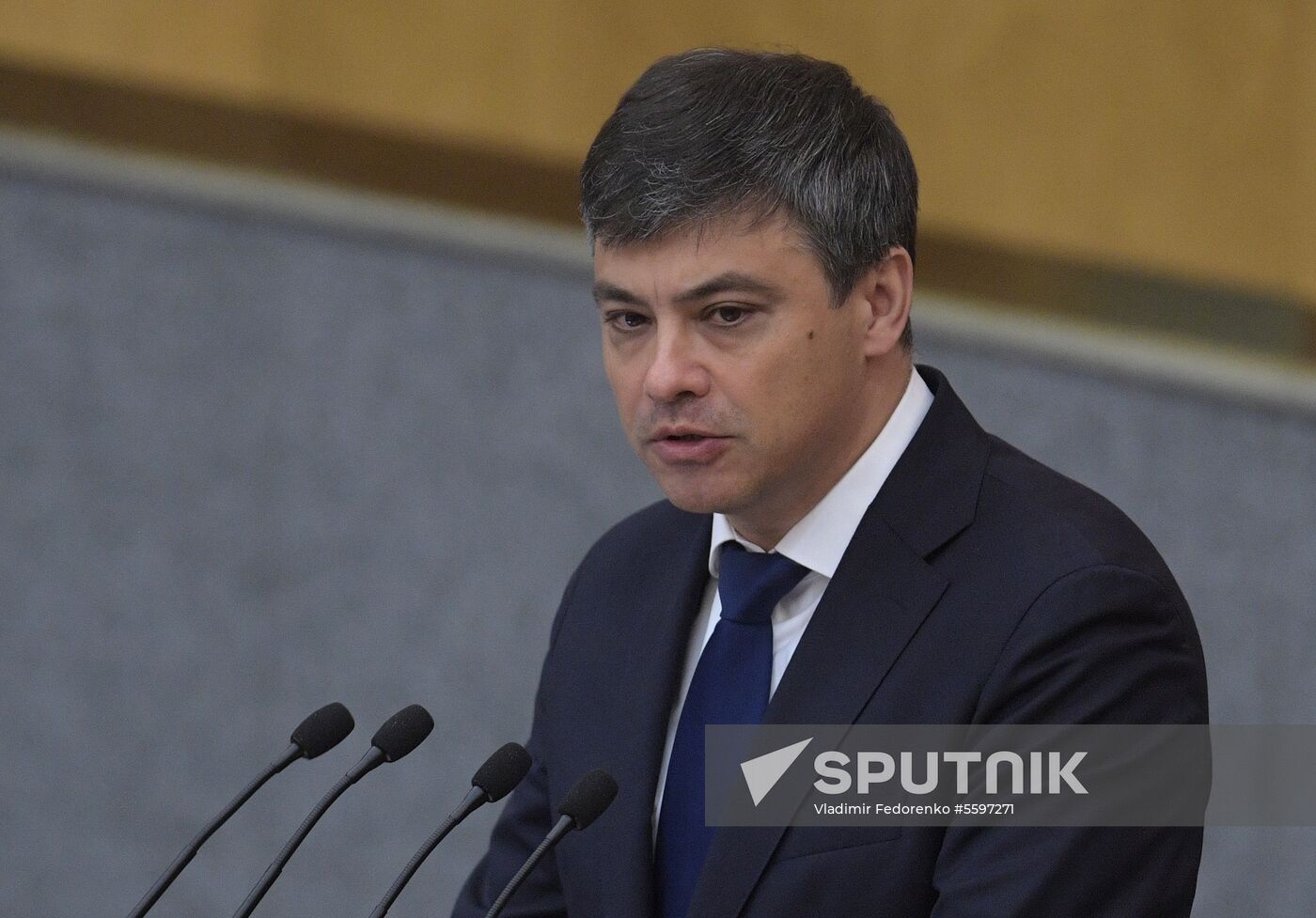 State Duma plenary meeting