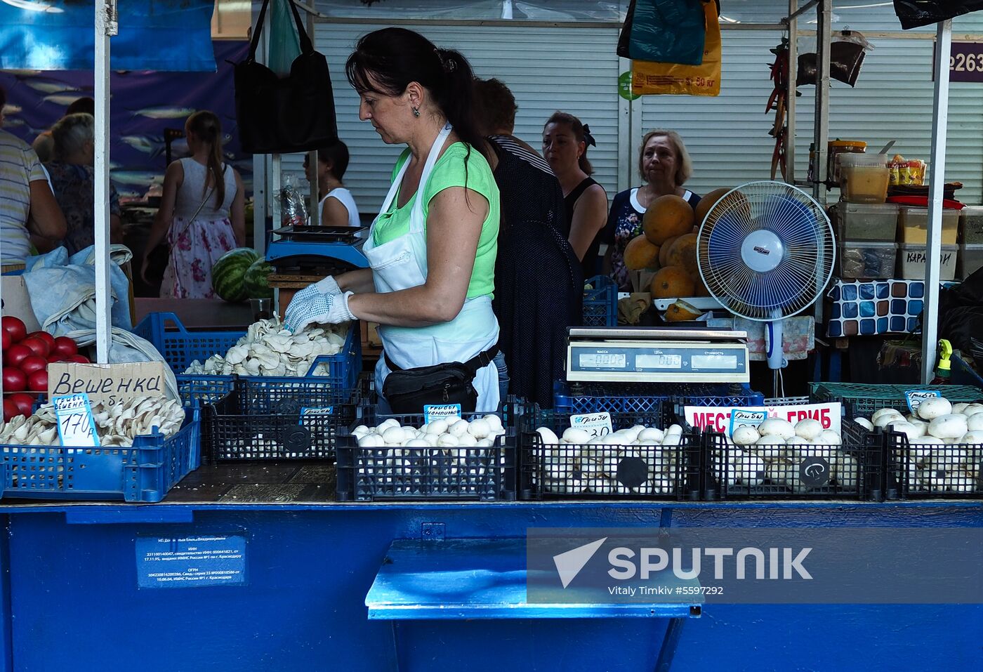Rosselkhoznadzor bans champignons import from Belarus