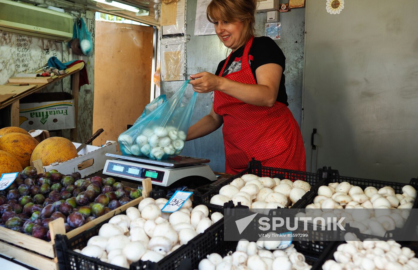 Rosselkhoznadzor bans champignons import from Belarus