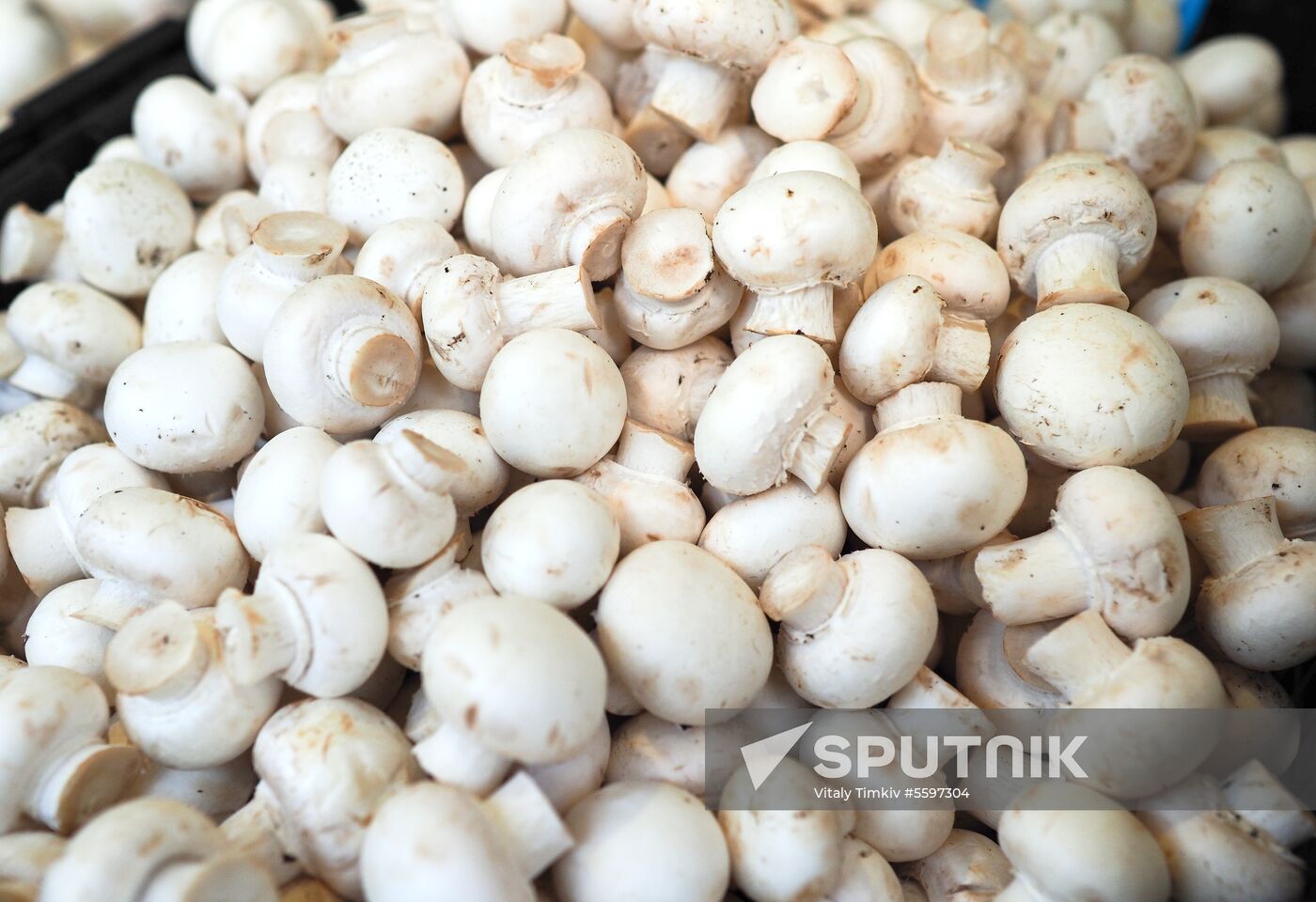 Rosselkhoznadzor bans champignons import from Belarus