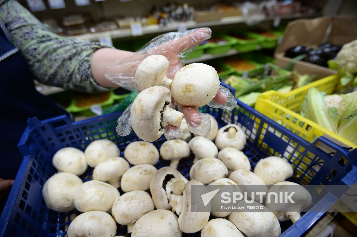 Rosselkhoznadzor bans champignons import from Belarus