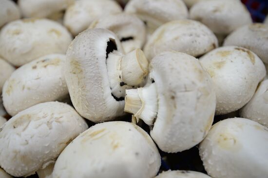 Rosselkhoznadzor bans champignons import from Belarus