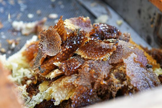 Honey harvesting in Abkhazia