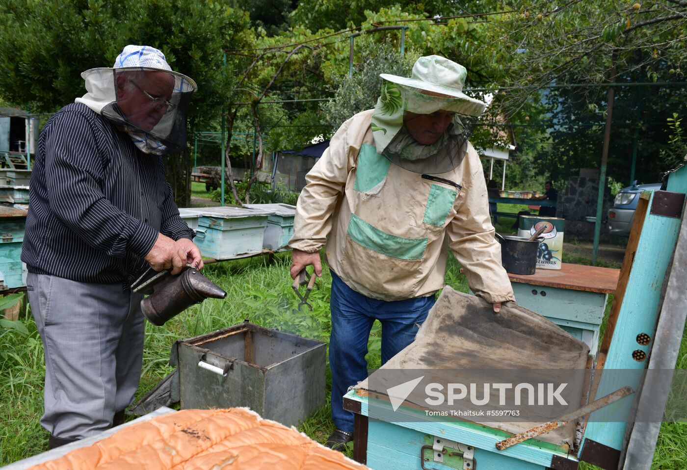Honey harvesting in Abkhazia