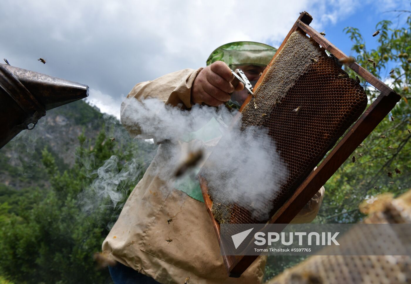 Honey harvesting in Abkhazia