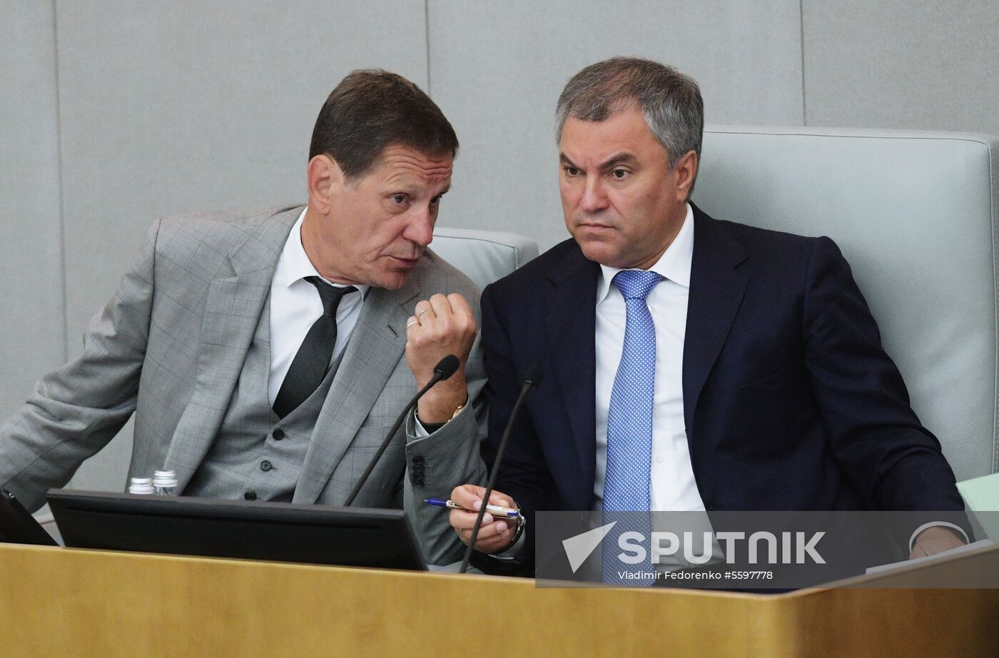 State Duma plenary meeting