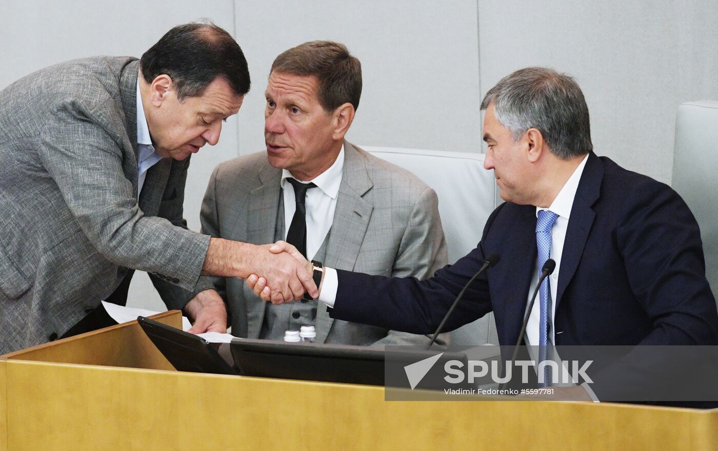 State Duma plenary meeting