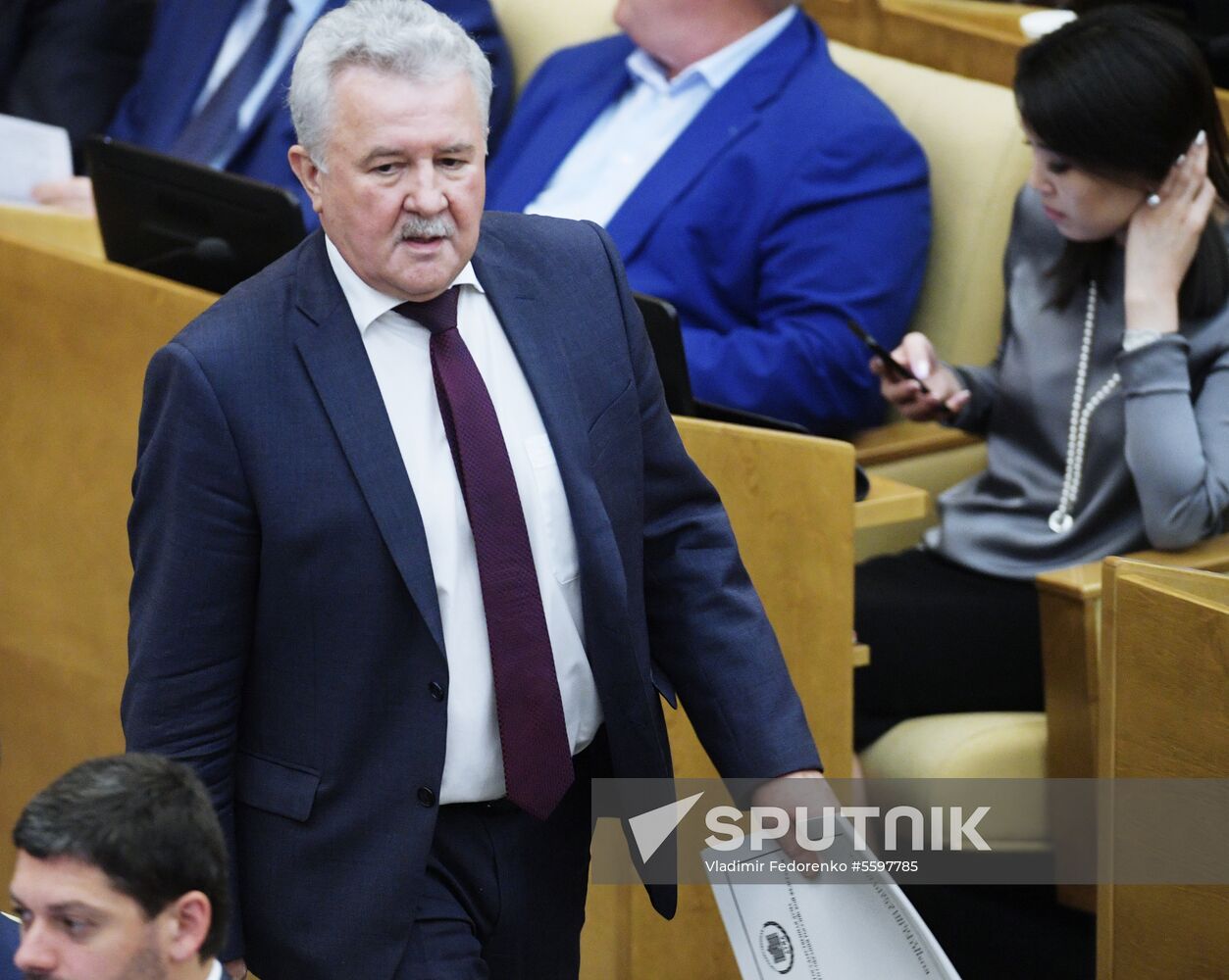 State Duma plenary meeting