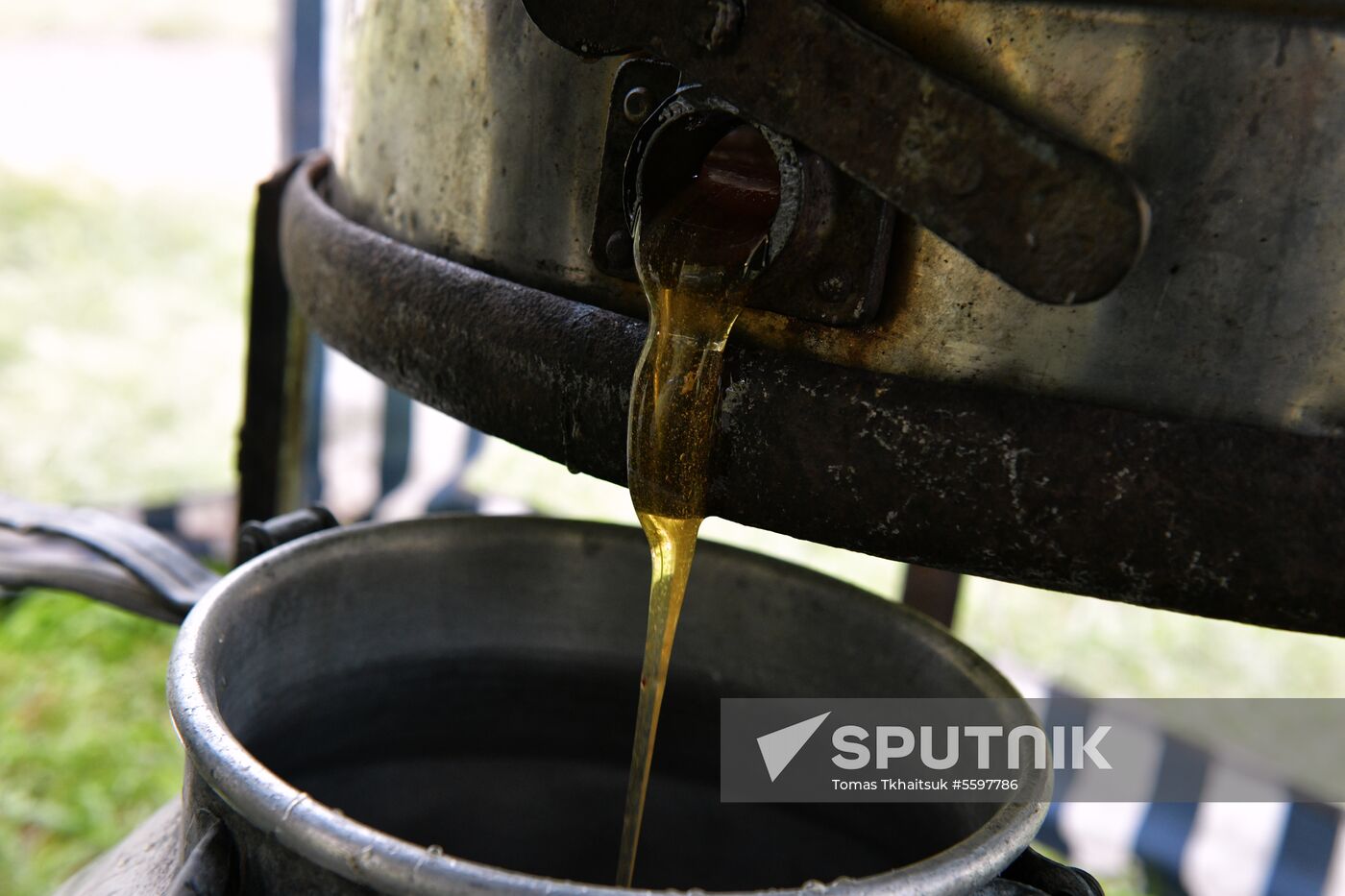 Honey harvesting in Abkhazia