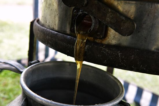 Honey harvesting in Abkhazia