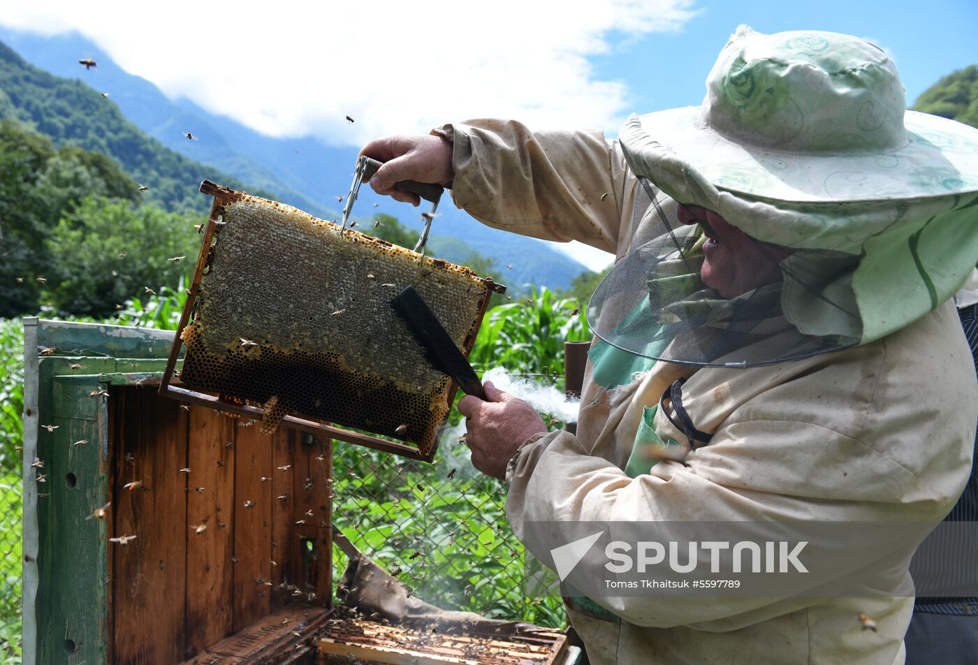 Honey harvesting in Abkhazia