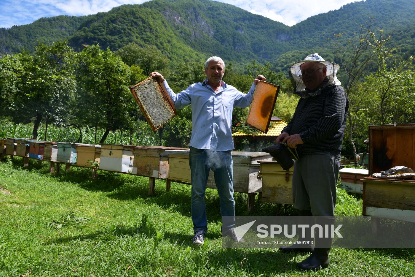 Honey harvesting in Abkhazia