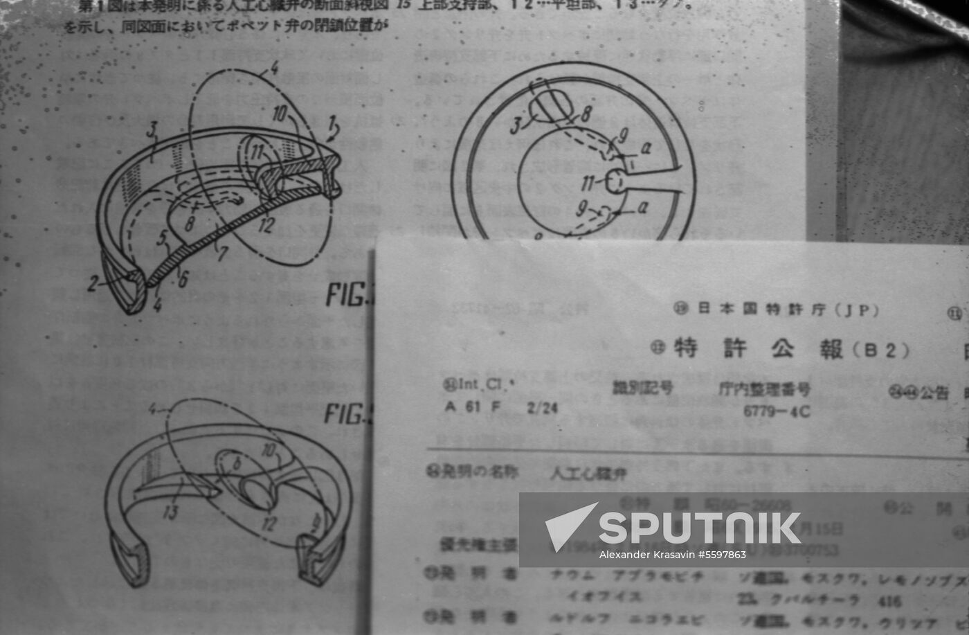 Emiks cardiac valve prosthesis