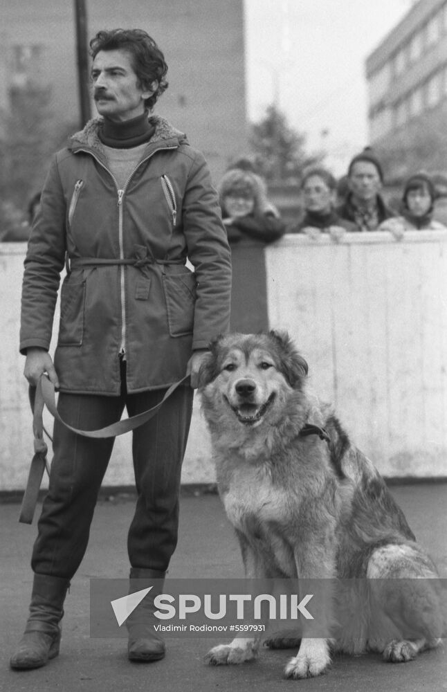 DOSAAF dog exhibition
