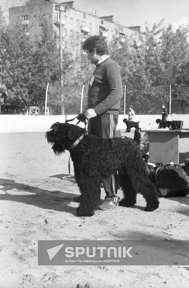 DOSAAF dog exhibition