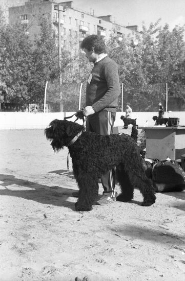 DOSAAF dog exhibition