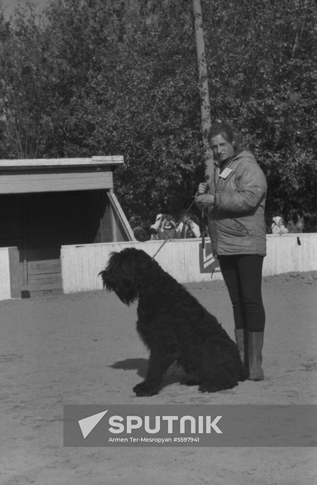 DOSAAF dog exhibition