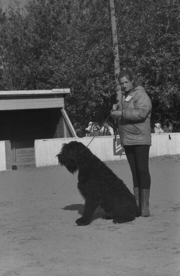 DOSAAF dog exhibition