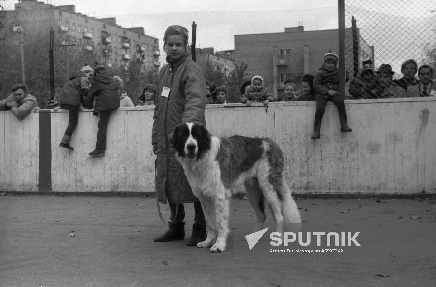 DOSAAF dog exhibition