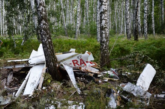 SR22 aircraft crash in Novosibirsk Region