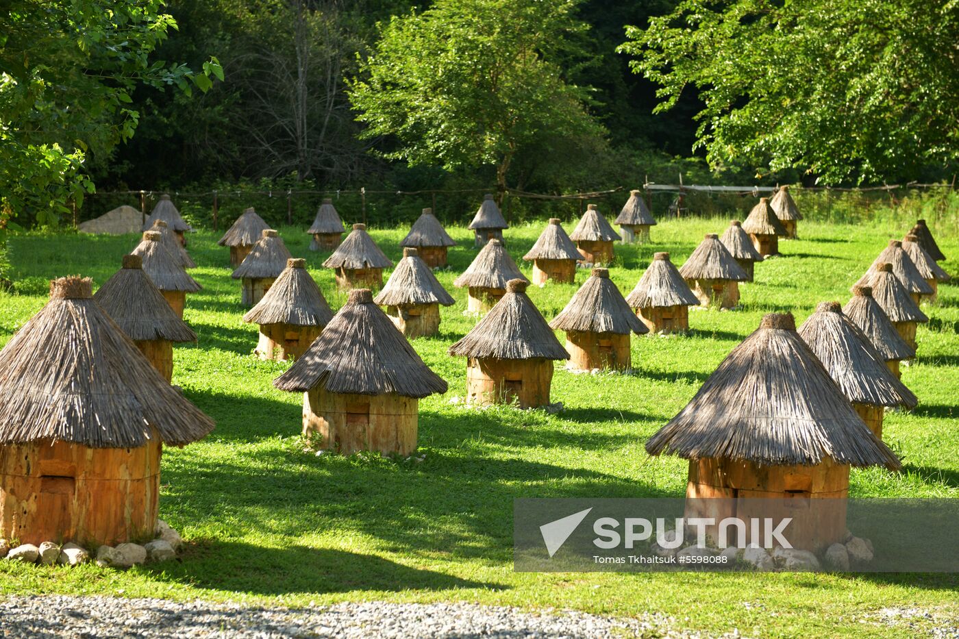 Honey harvesting in Abkhazia