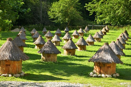Honey harvesting in Abkhazia