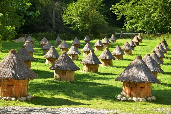 Honey harvesting in Abkhazia