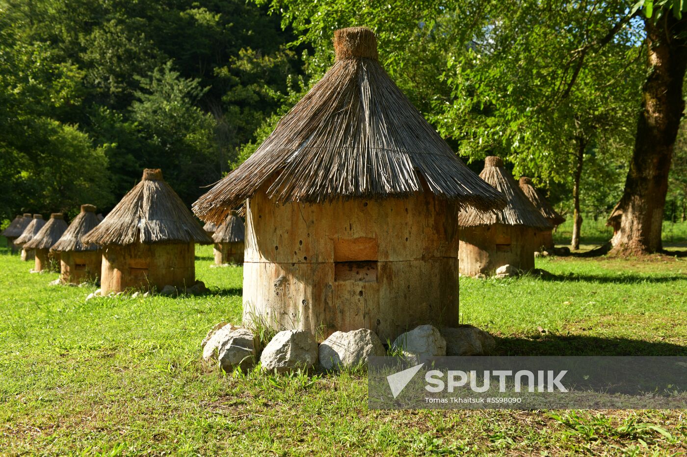 Honey harvesting in Abkhazia