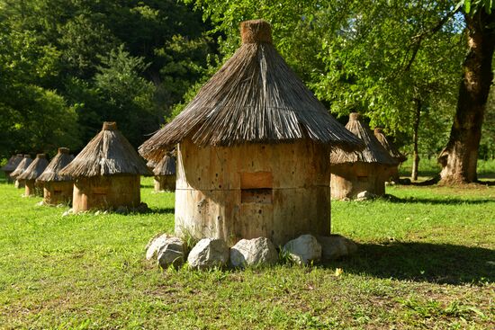 Honey harvesting in Abkhazia