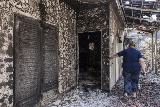 Consequences of wildfires in Greece