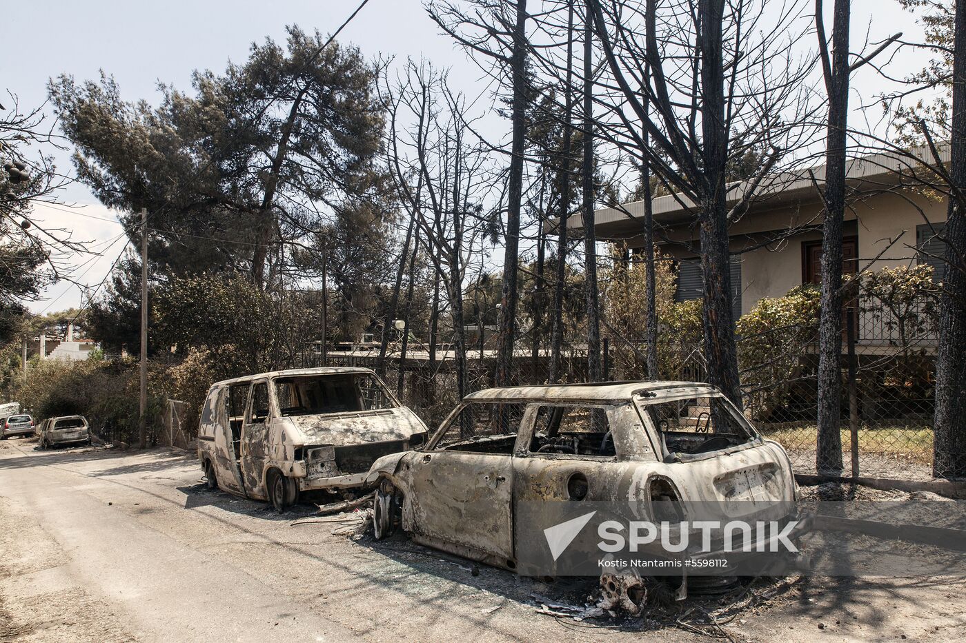 Consequences of wildfires in Greece
