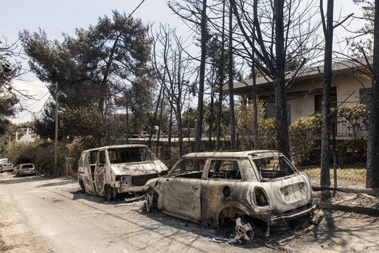 Consequences of wildfires in Greece