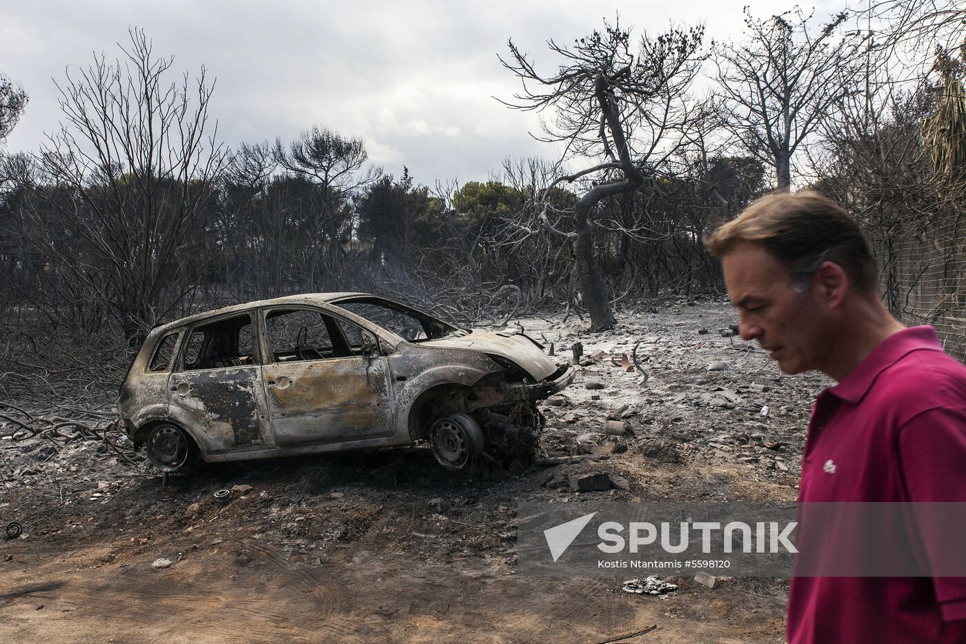 Consequences of wildfires in Greece