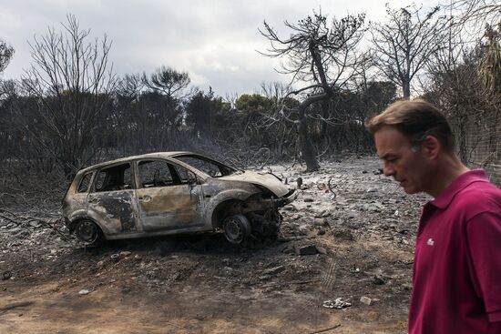 Consequences of wildfires in Greece