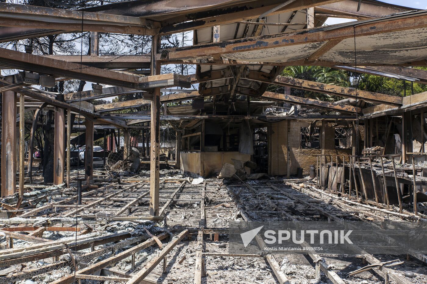 Consequences of wildfires in Greece