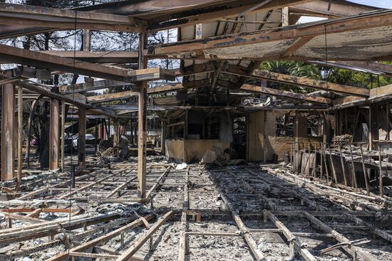 Consequences of wildfires in Greece