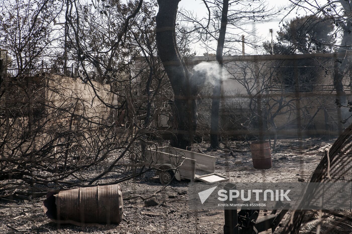 Consequences of wildfires in Greece