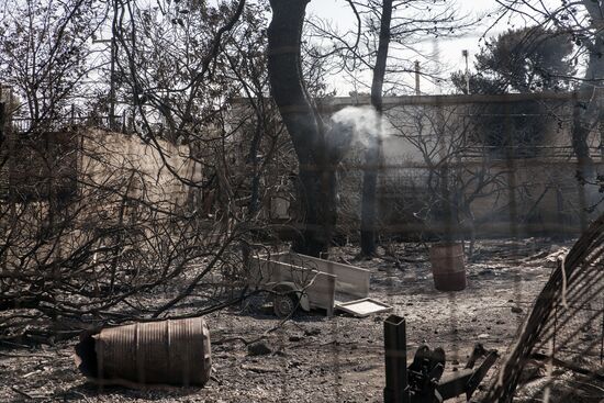 Consequences of wildfires in Greece