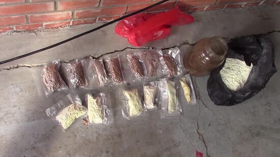 Russian FSB smashes drug-production ring