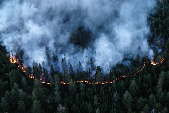 Fire in Murmansk Region
