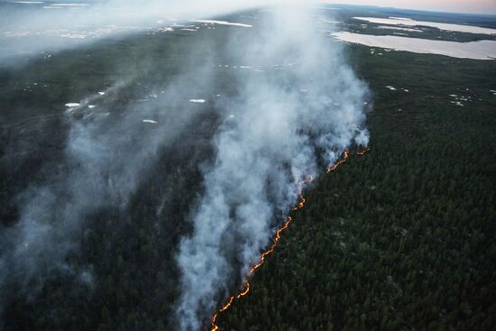 Fire in Murmansk Region