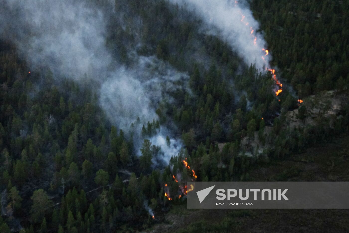 Fire in Murmansk Region