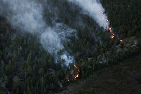 Fire in Murmansk Region