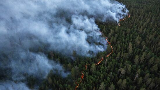 Fire in Murmansk Region